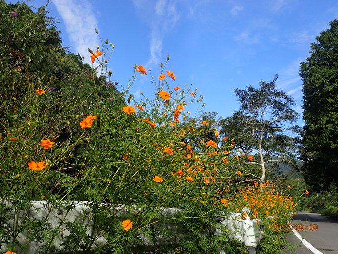 e0138321_10594093.jpg