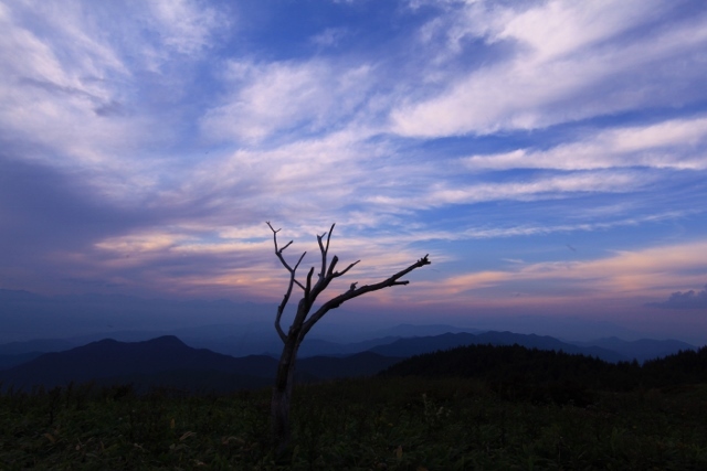 e0242721_06575655.jpg