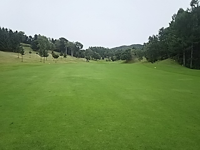 f0227321_19154689.jpg