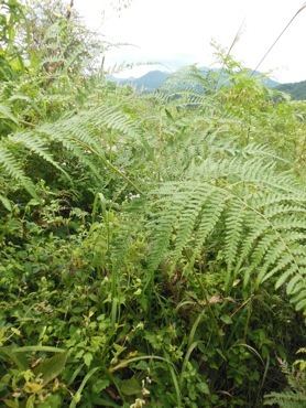 f0235026_20300701.jpg