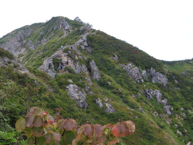 f0118332_01192301.jpg