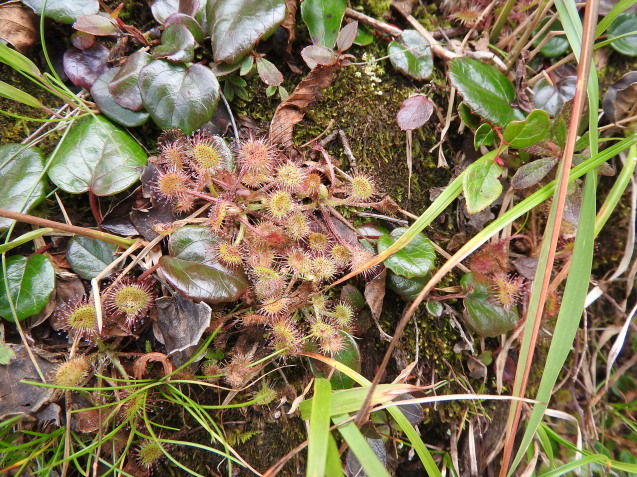 f0118332_01204939.jpg