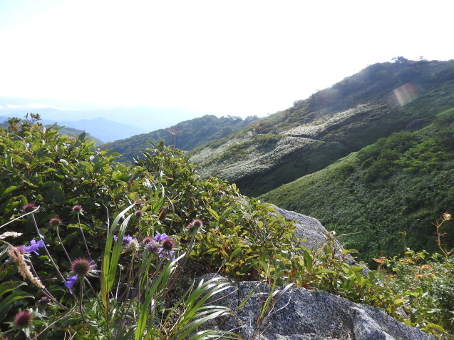 f0118332_01254992.jpg