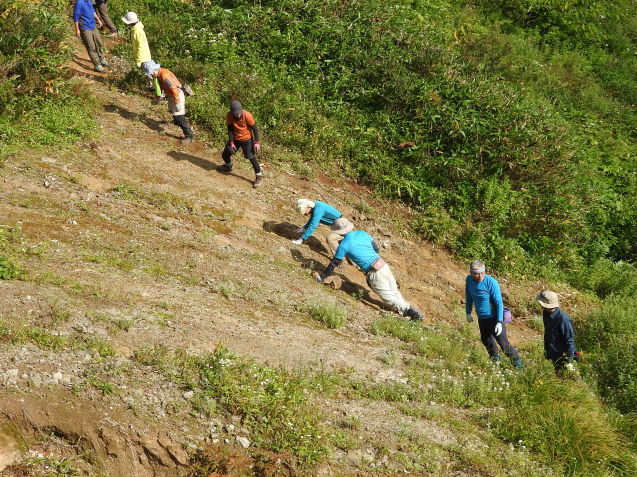 f0118332_01265063.jpg