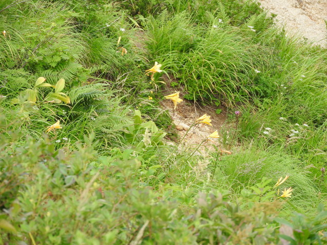 f0118332_01343673.jpg
