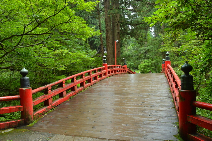 c0172234_12390959.jpg