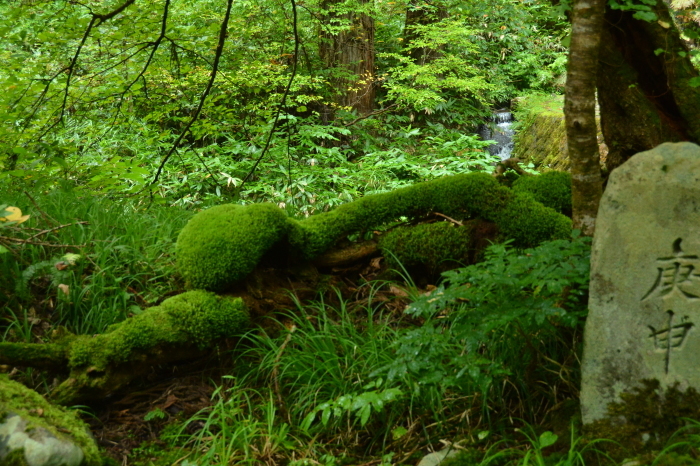 c0172234_12430796.jpg