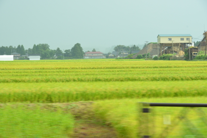 c0172234_13211376.jpg