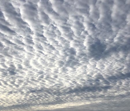 b0063436_07393695.jpg