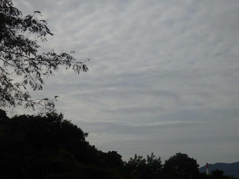 a0054240_19554348.jpg