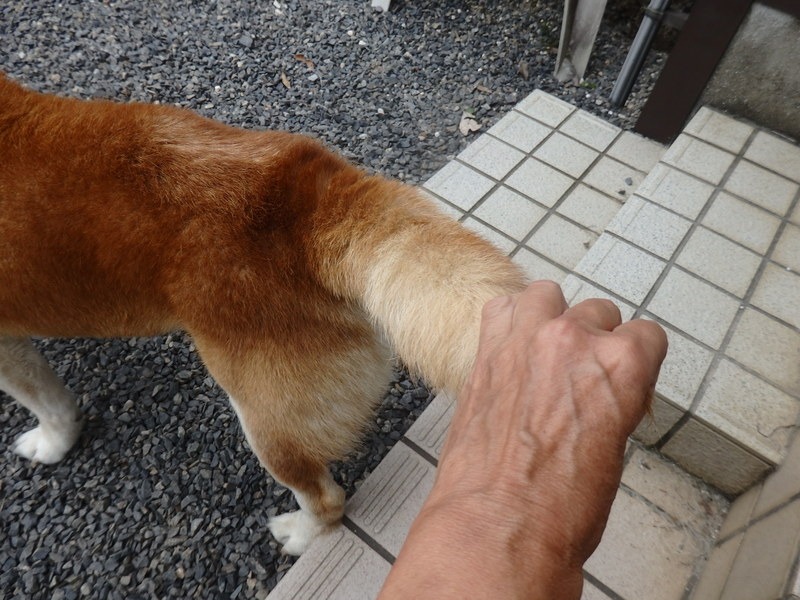 a0054240_2083037.jpg