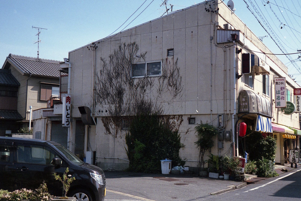 d0089742_19043555.jpg