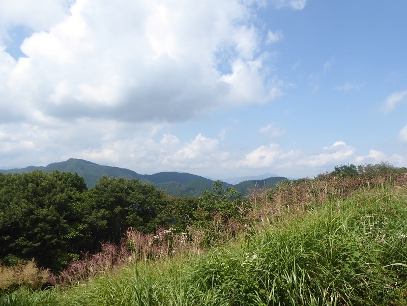 d0288144_17043438.jpg
