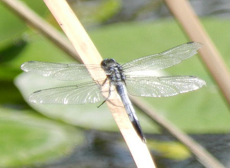 e0172950_21174971.jpg