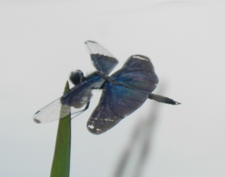 e0172950_21235776.jpg