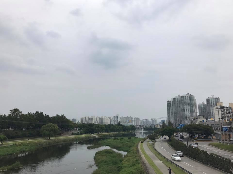 b0002156_813105.jpg