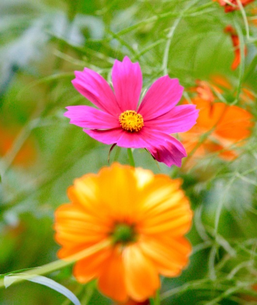 a0248459_15560334.jpg