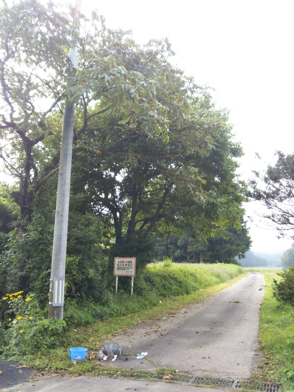 f0208665_8471254.jpg