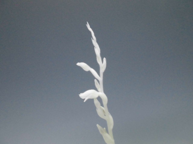 f0318967_23313404.jpg