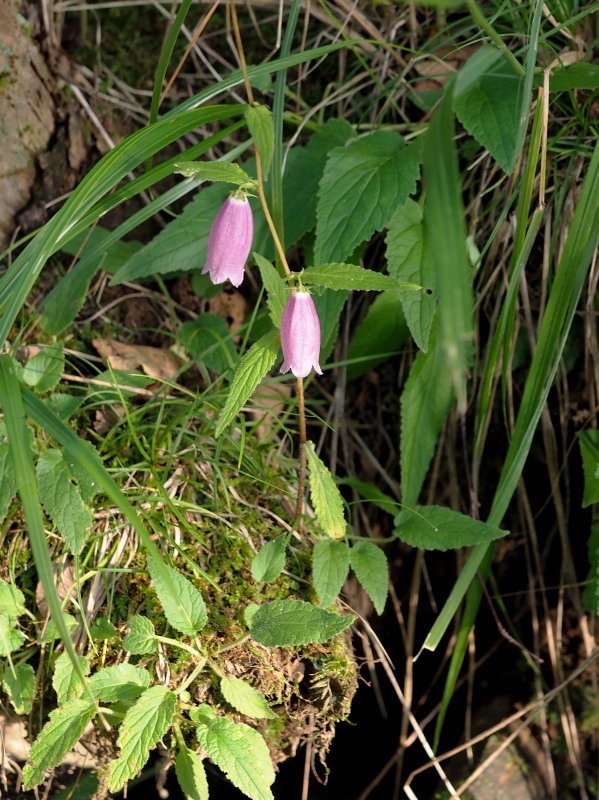 f0372177_22273912.jpg
