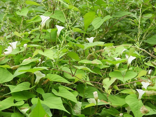 f0378979_16402954.jpg