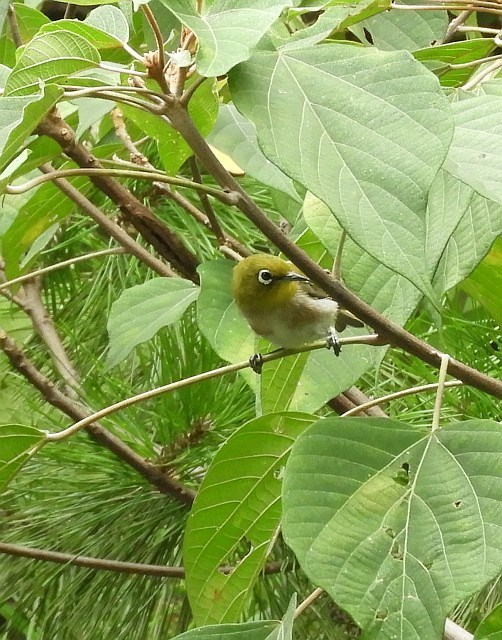 f0378979_16500250.jpg