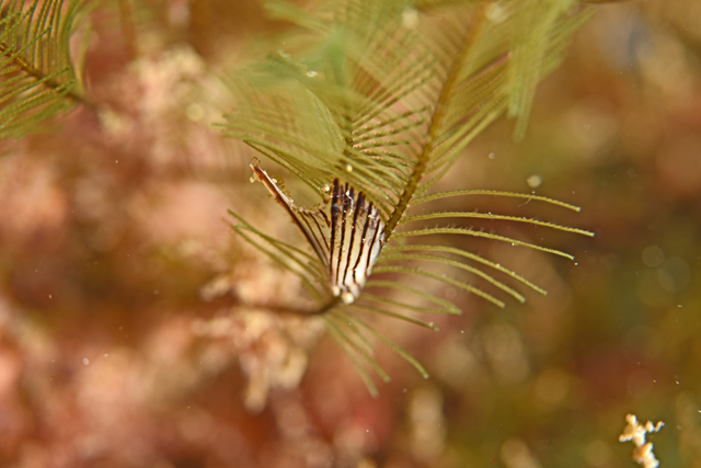 b0137083_20365331.jpg