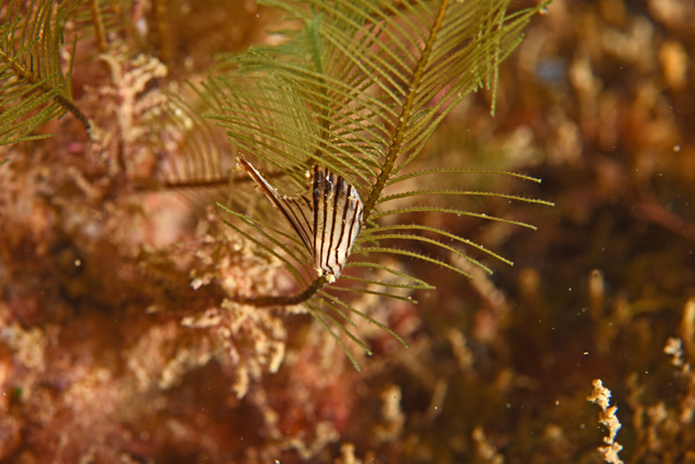 b0137083_20373011.jpg
