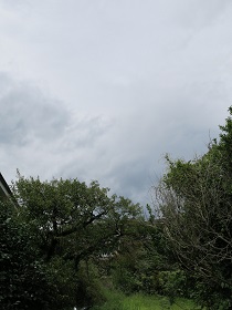e0130185_12114826.jpg