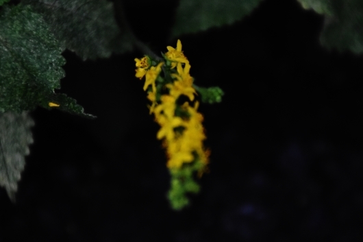 b0329186_08085194.jpg
