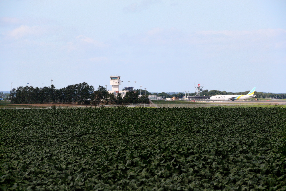 e0204891_19334374.jpg