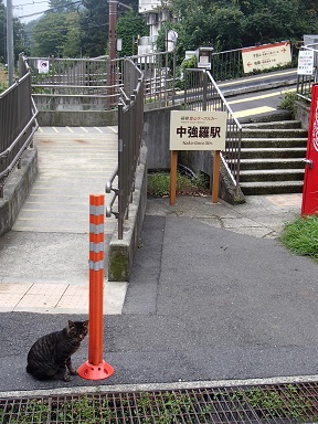c0187298_2135789.jpg