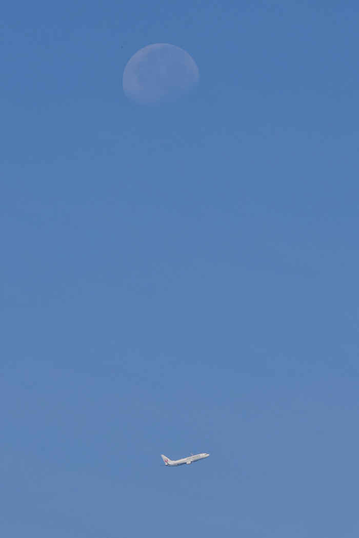 c0049299_08545926.jpg