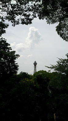 d0040901_217226.jpg