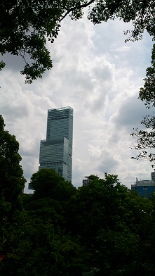 d0040901_217517.jpg