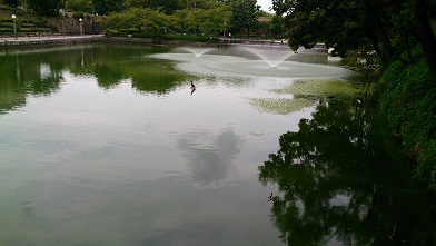 d0040901_2185566.jpg
