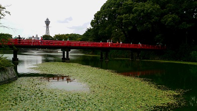 d0040901_219478.jpg