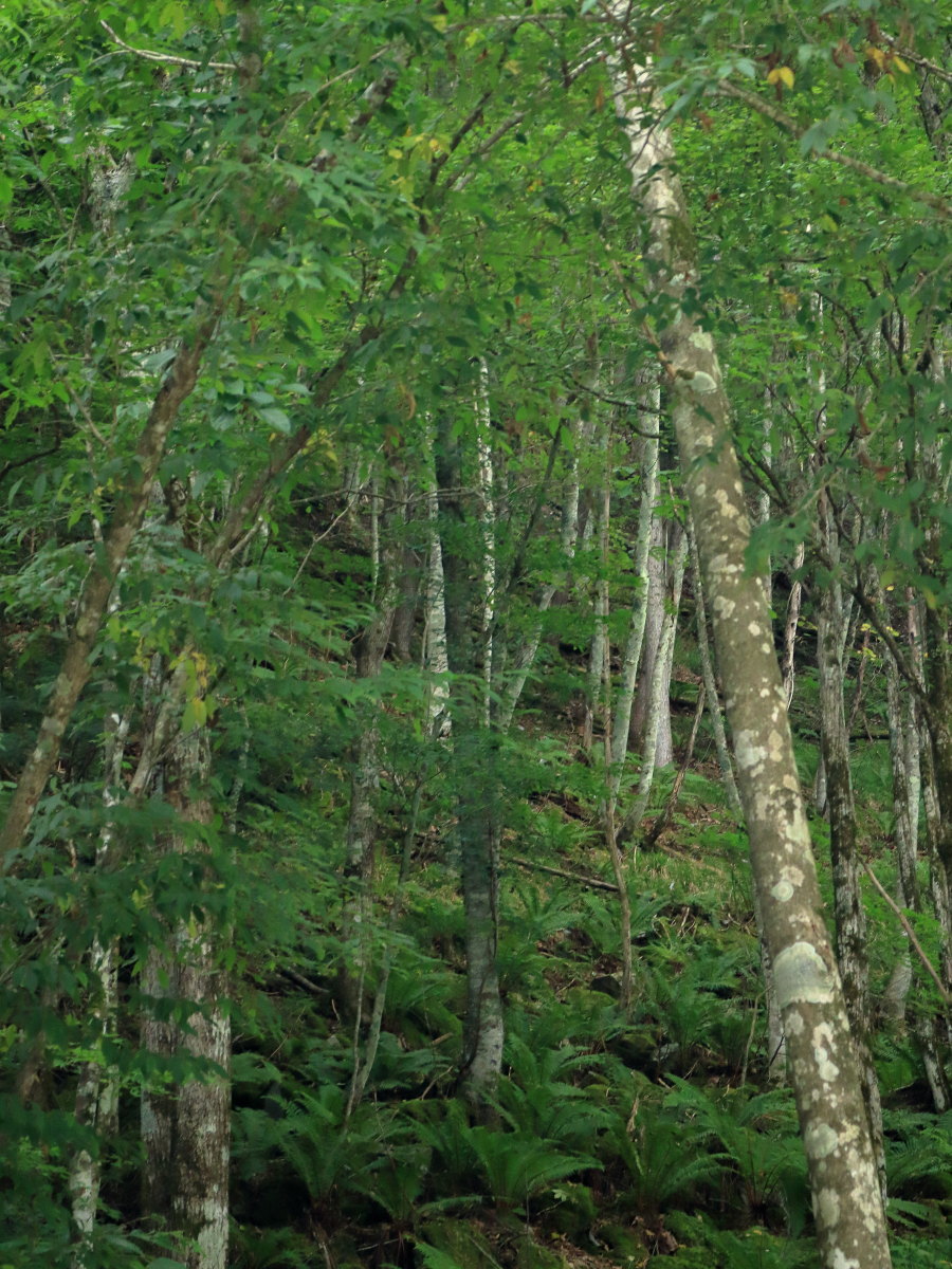 e0009009_15533824.jpg