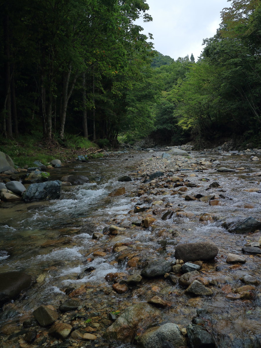 e0009009_15535500.jpg