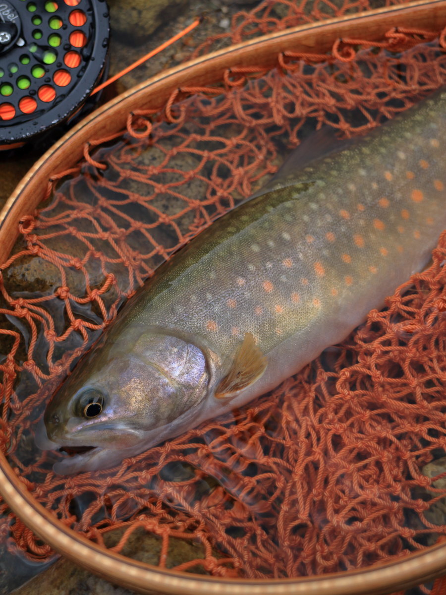 e0009009_15540811.jpg
