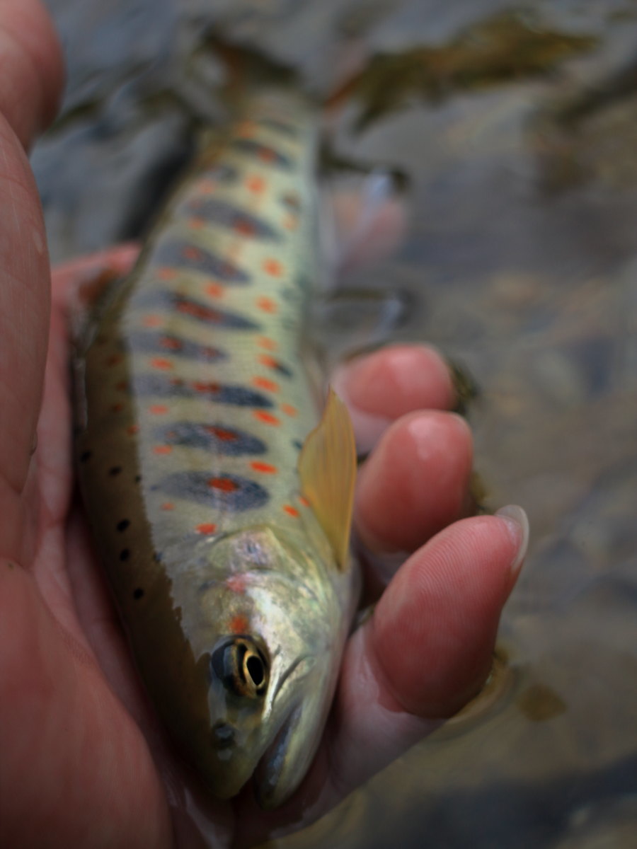 e0009009_15544769.jpg