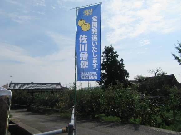 f0231709_09145483.jpg