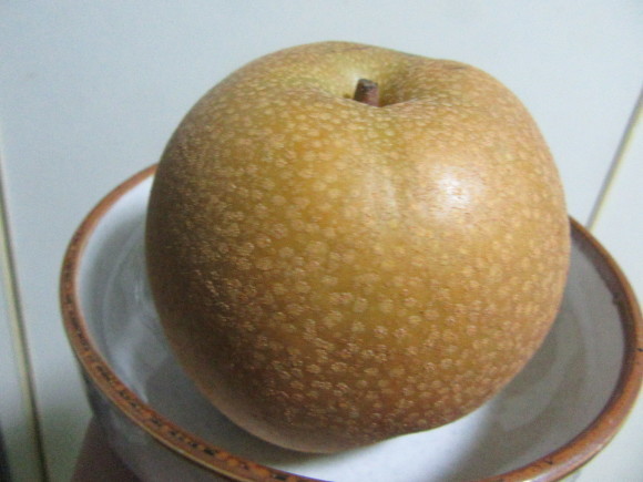 f0231709_09210110.jpg