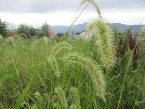 f0231709_10020234.jpg