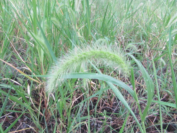 f0231709_10030086.jpg