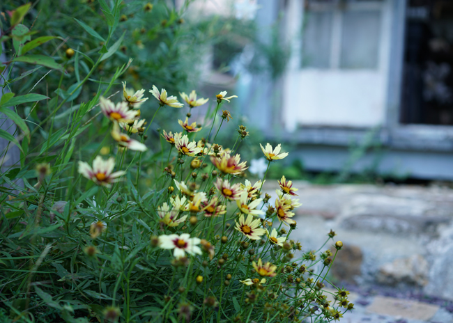 e0136511_00262973.jpg