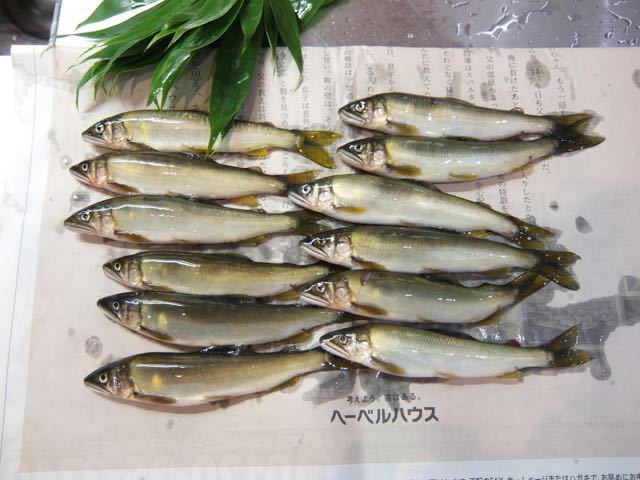 b0309813_16291599.jpg
