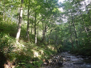 c0359615_21080701.jpg