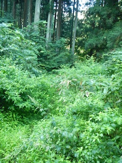 c0359615_21082627.jpg