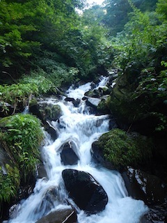c0359615_21083832.jpg
